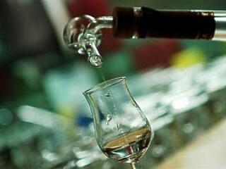 Minden, amit a pálinkáról tudni illik...