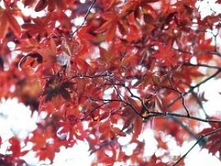 Hétvégi programok a budapesti fürdőkben