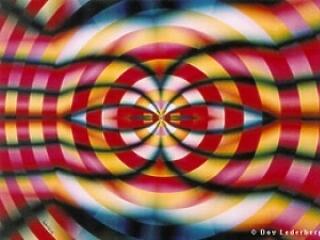 Tragédia a világhazugság hálóján!