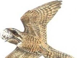 "Aki szegény, az a legszegényebb"