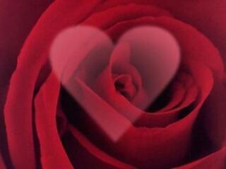 Hogyan tegyünk "magunkévá" 12 férfit, egyetlen éjszaka?