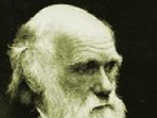 Nemzetközi ünnep Darwin születésnapja