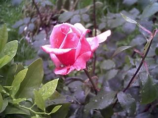 Nyisd ki a szemed a világra!