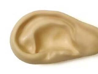 "Valaki leharapta és megette a fülem egy darabját"