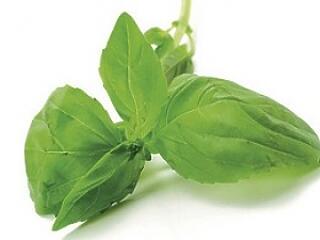 Zöldségeskertet az ablakba!