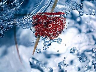 A medvék nyomában: a málna a népszerűségi toplisták élén