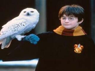 Harry Potter-nap a MOM parkban!
