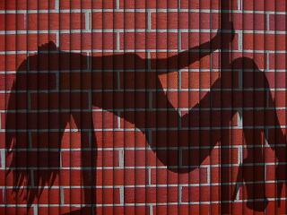 Randisirató, némi roséval lekísérve