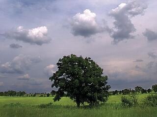 A kert a legjobb wellness paradicsom...Miért?