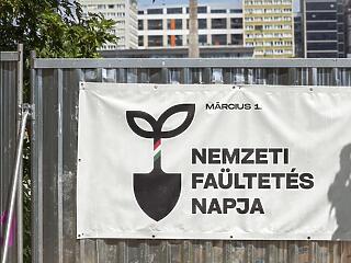 Várják a jelentkezőket – legalább 100 000 fát ültetnek el a Nemzeti Faültetés Napján