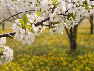 Módszerek a tavaszi fáradtság ellen