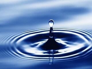 Nélküle nincs élet!