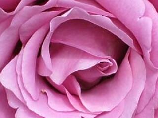 "Ez a világ, a létező világok legjobbika..."