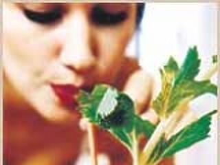 Hogyan adtam le húsz kilót? 2. rész