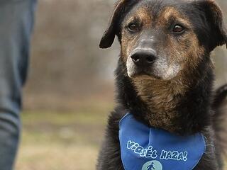 Van út a boldogság felé