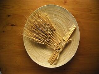 Családi gasztro-napok a Magyar Mezőgazdasági Múzeumban!