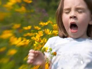 Ezeket egye az allergia ellen!