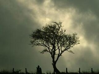 Az ítéletidő folytatódik