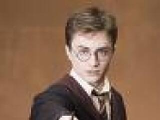 Rács mögé dugtak egy 16 éves Harry Potter-fordítót