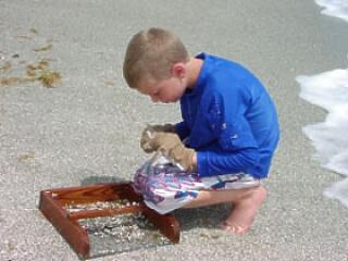 Még a napra is lehetünk allergiásak?