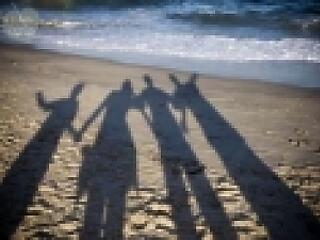 Tippek allergiásoknak a nyaralás előtt!