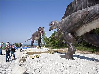 Megnyílt az ország első Dino - és Kalandparkja!