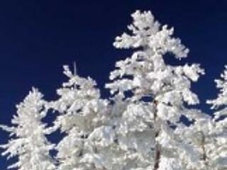 Jön a hó? Viharos szél, zápor, erős hideg várható!