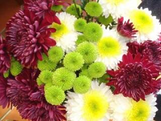 Horoszkóp okt.27-nov.2-ig - Ez egy emlékezetes hét lesz!