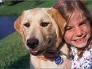 Kutyák, akik könnyebbé teszik a sérültek életét