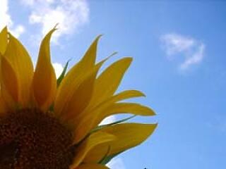 A "Mennyire ismered Magyarországot?" teszt megoldása