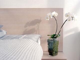 Szexteszt- megtudhatja, hogy milyen hatással van másokra