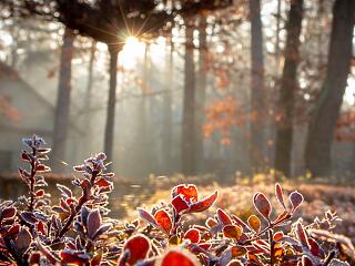 A hideg 5 jótékony hatása a szervezetre
