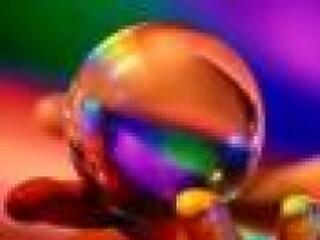 Piros madárfütty egy zöld csütörtökön