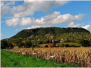 "Ha ezt iszod, a legenda szerint garantált a fiúgyermek!"