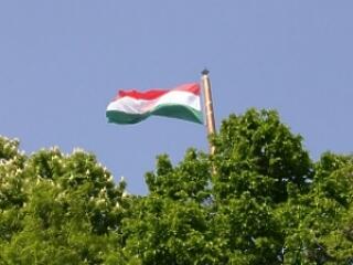 Szabadság Futam
