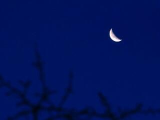 Mit rejt Dávid Ibolya, Gyurcsány Ferenc és Orbán Viktor neve!