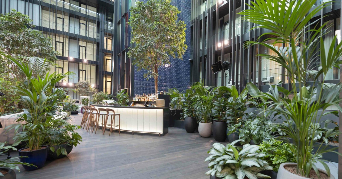 A természet belső tereinek varázsa: szobanövények a mindennapokban