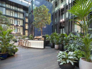 A természet belső tereinek varázsa: szobanövények a mindennapokban