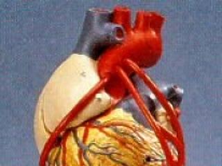 Szívbetegség depresszió miatt