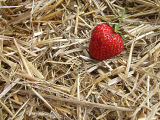 Pszichológus segít, hogy gyermekem születhessen?