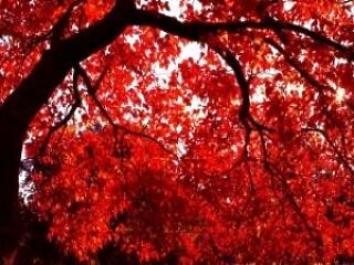 A betegek negyede túl későn kerül orvoshoz