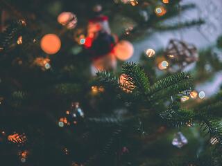 Miért érdemes műfenyőt vásárolni?