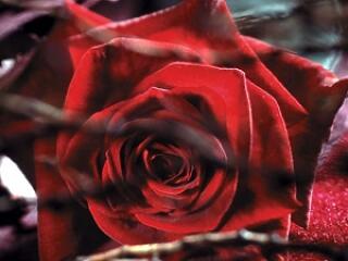 A szex félreérthető!