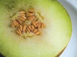 Készítsük fel a bőrünket a nyárra