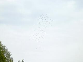 Már mindenhol és mindig nagy veszélyben vagyunk!