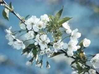 Meglepő meleg jön - szél, felhő várható!