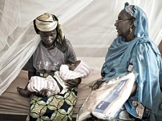 Megvan a malária új "ellenszere"!