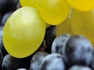 Biosarok: szüreti örömök egészségre áldásos előnyei