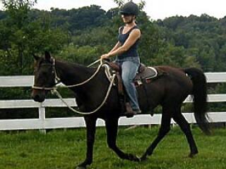 A lovaglás pozitív hatásai