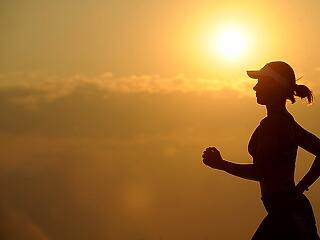 Ez a legjobb és a legolcsóbb zsírégető!